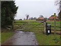 The bridleway leading to Stank Bridge and beyond