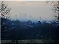 Hadley Wood with Docklands buildings in the distance