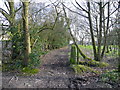 Path leading to Springwood Farm from Heys Lane