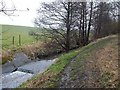 Footpath, Brook and Weir near the Blackwell Trail