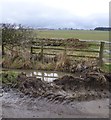 Sodden field and dung heap