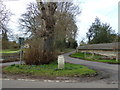 Thruxton: ancient milepost