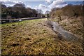 SU2462 : Kennet & Avon canal feeder stream by Gillie Rhodes