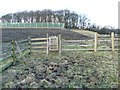 Gate on Elland Footpath 51