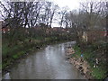 The River Darwen, Higher Walton