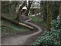 River Thames towpath