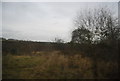 SP6814 : Farmland near Dorton by N Chadwick