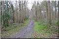 Path into Moat Wood