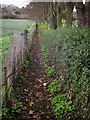 SU4868 : Path at Shaw Nr Newbury by Gillie Rhodes