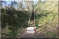 Steps in Oaks Wood