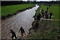 East Devon : Escot Park - The River Tale