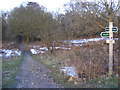 TM4667 : Bridleway to Minsmere Road by Geographer