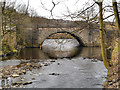 River Tame, Roaches Bridge