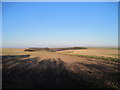 Yorkshire  Wolds  looking  toward  Swin Dale