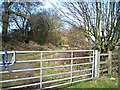 Bridle path and farm track