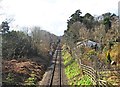 Severn Valley Railway line near Stourport Road, Kidderminster