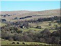 Rough pastures near Low Thornhope