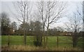 Field through the trees by the railway line