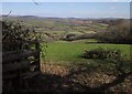 Fields and view near Newcombe Farm