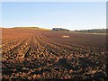 NT8735 : Ploughed field, East Moneylaws by Richard Webb