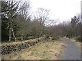 Path, Gordon Community Woodland