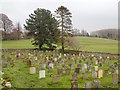 Churchyard, Church of St James