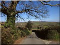 Lane to Combe