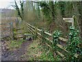 Footpath by the M3 embankment