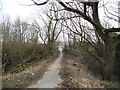 Path leading to Cromwell Road from Lapwing Lane, Brinnington