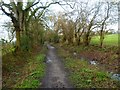 Footpath to Pitmore Road