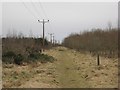 NT6644 : Trackbed, Berwickshire Railway by Richard Webb