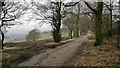 Scrub clearance beside drive to Sharpcliffe Hall