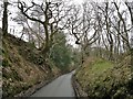 Is this an ancient holloway beside Calfcroft Sprink?