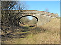 NY6752 : Bridge over the (former) Haltwhistle to Alston branch line by Mike Quinn