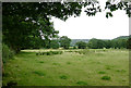 Pasture north of Llangybi, Ceredigion