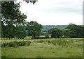 Pasture north of Llangybi, Ceredigion