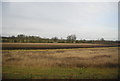 Farmland by the Chiltern Main Line