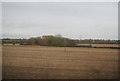 Wooded pond in a field