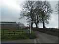 Haskins cross, on the edge of Payhembury