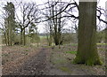 Footpath near the south entrance to Lorenden Park, Painters Forstal