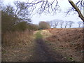 TM4468 : Footpath to Raceground House & Westleton Road by Geographer