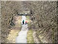 Users of the Trans Pennine Trail