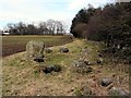 Little Meg Stone Circle