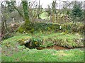 Footbridge at Vellanewson