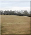 Farmland near Holtspur Bottom Farm