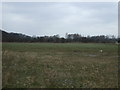 Farmland, Saltcotes