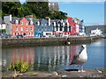 NM5055 : Tobermory: a seagull on the central pier by Chris Downer