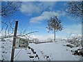 Snowy footpath near Worsbrough reservoir