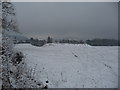 View to Hilston Park House near Newcastle, Monmouthshire