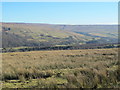 NY6757 : The valley of the River South Tyne south of Whitwham by Mike Quinn